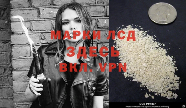 индика Навашино