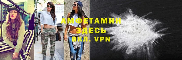 прущие грибы Михайлов
