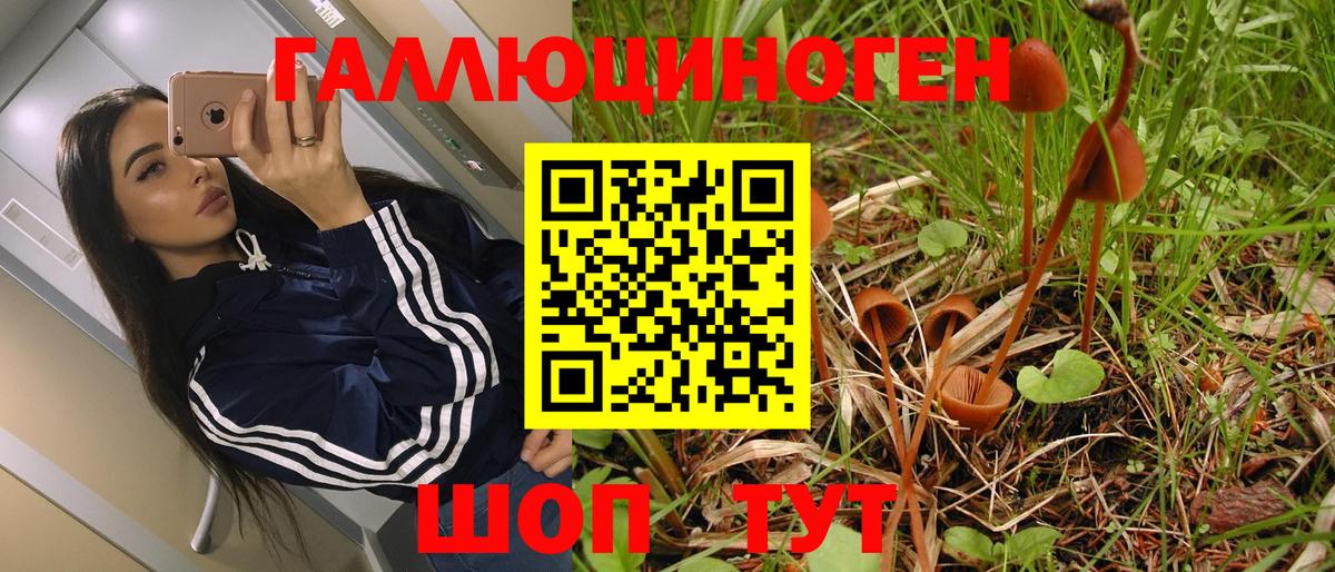 Галлюциногенные грибы Psilocybine cubensis  Вход с VPN  Псилоцибиновые грибы Psilocybine cubensis  как найти закладки  Беслан 